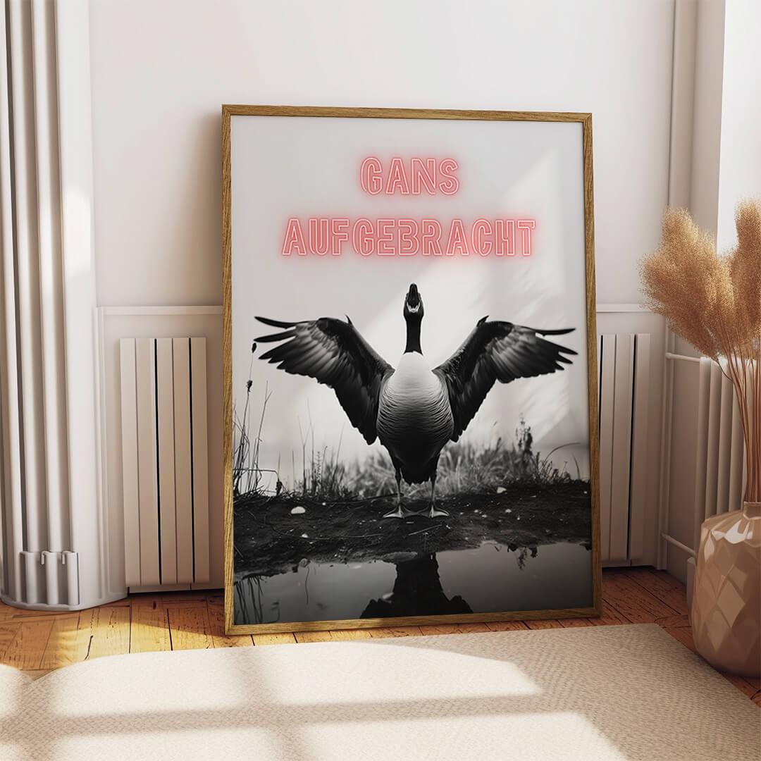 Gans Aufgebracht