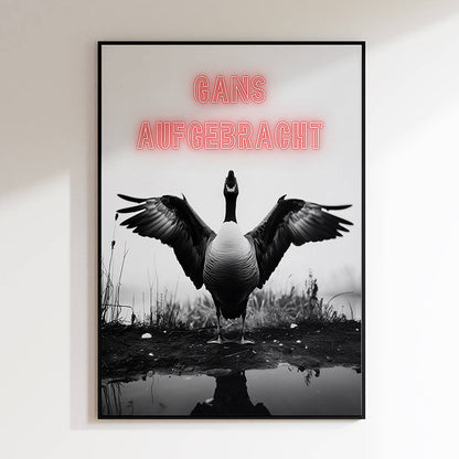 Gans Aufgebracht