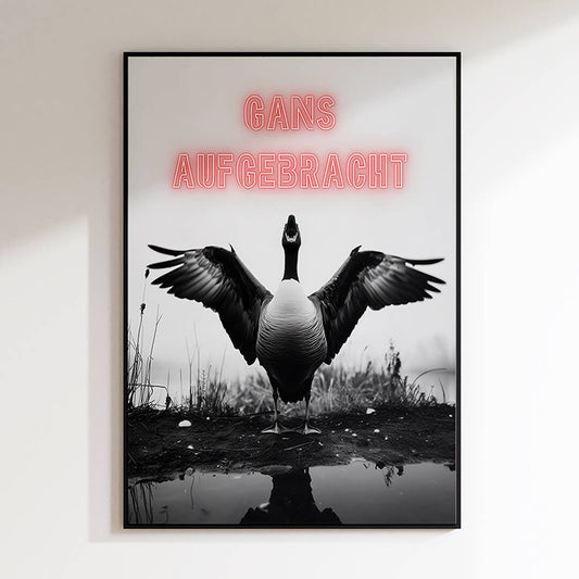 Gans Aufgebracht