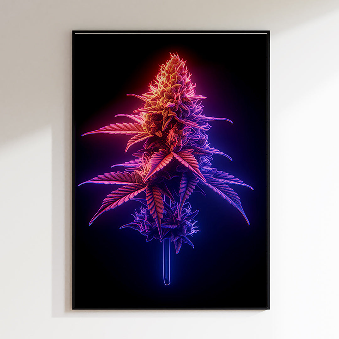 Neon I