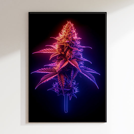 Neon I